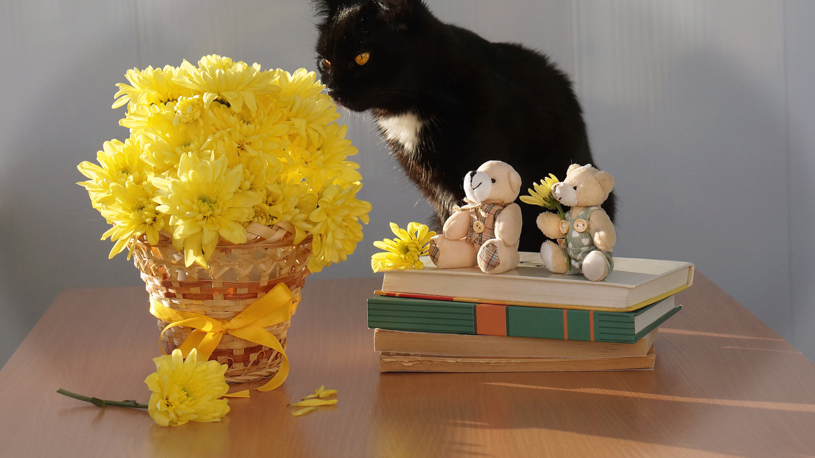 Черный кот на столе с букетом желтых хризантем и книгами