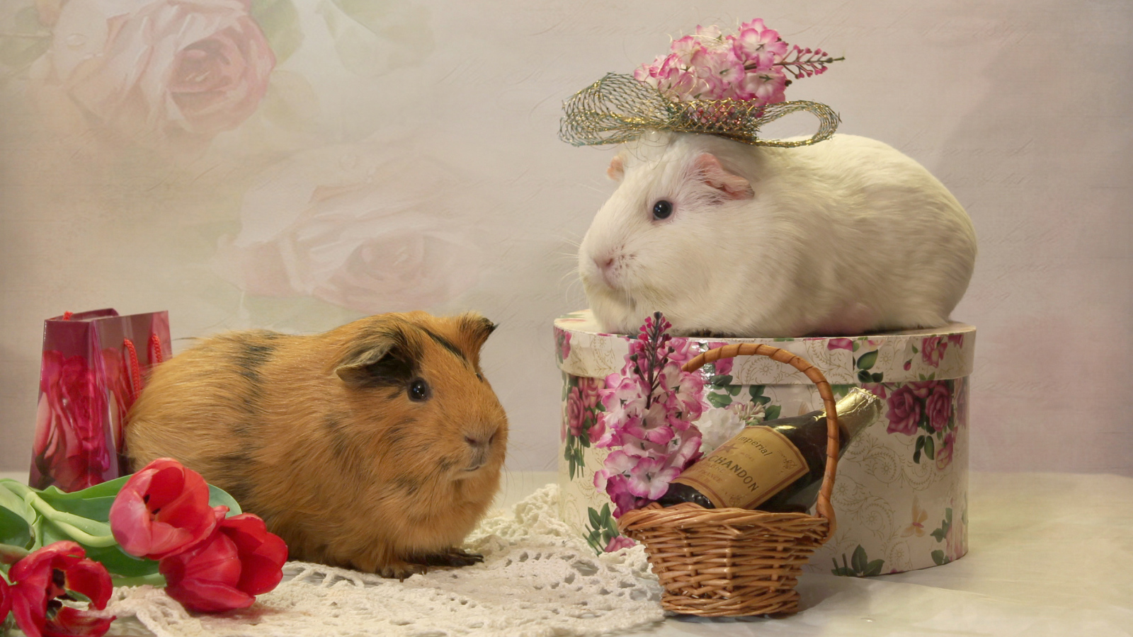 Две морские свинки с цветами