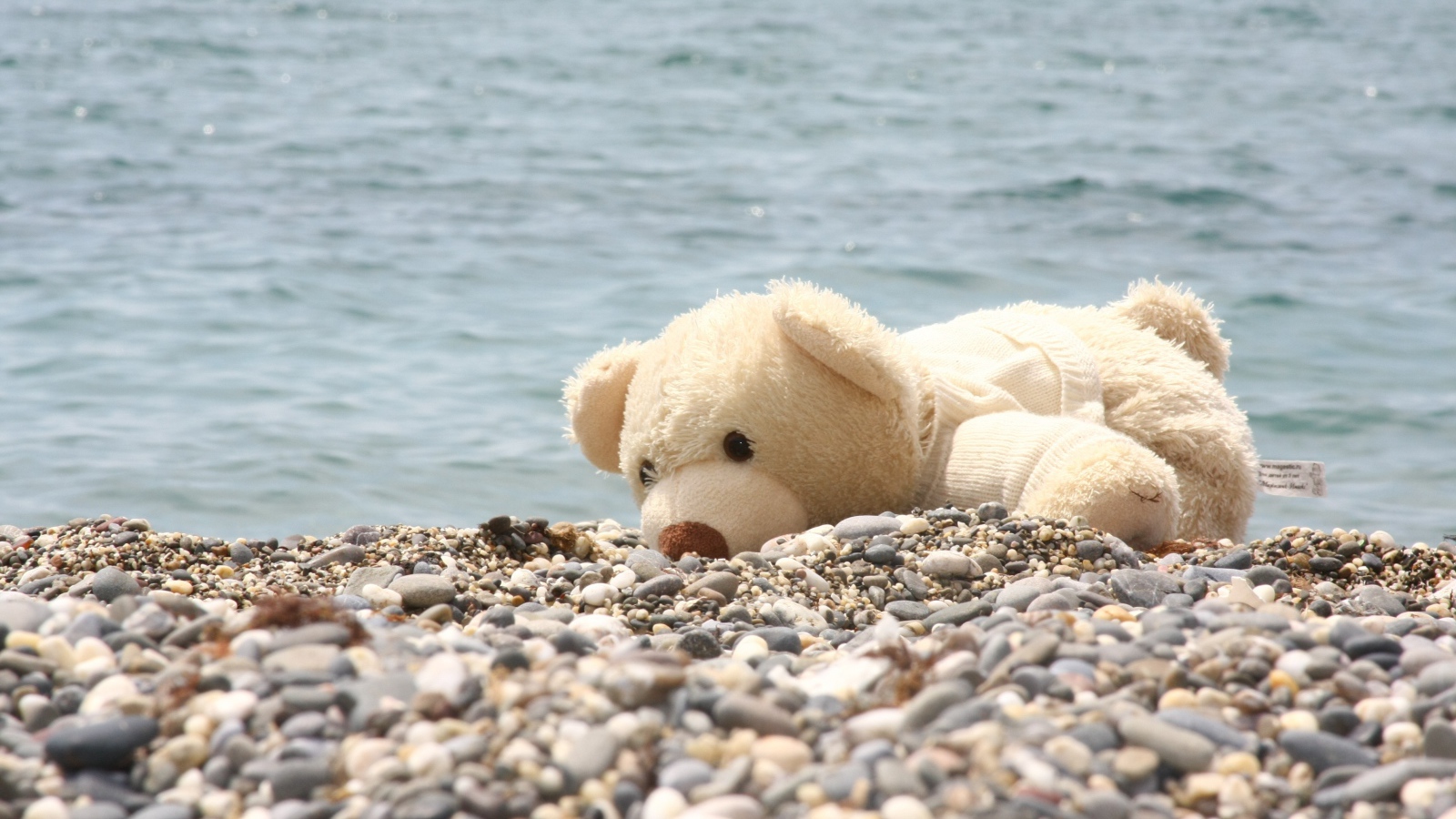 Белый плюшевый медведь лежит на гальке на берегу моря