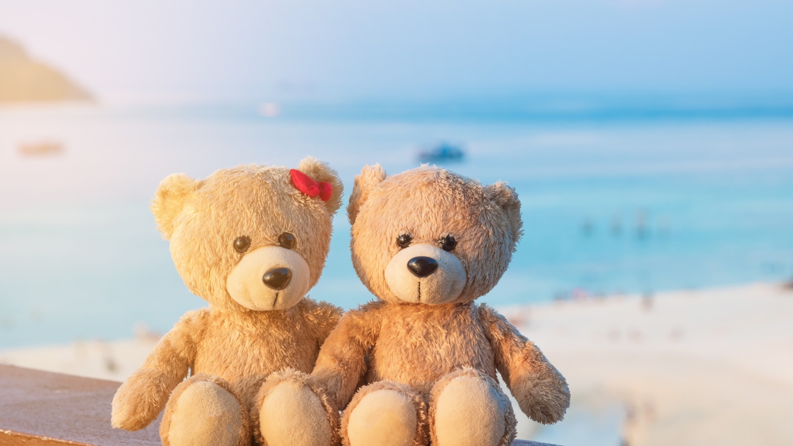 Два плюшевых медведя на фоне моря