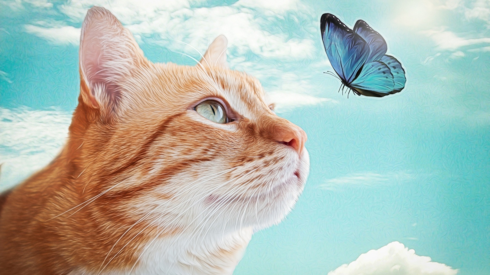 Нарисованный рыжий кот с голубой бабочкой 