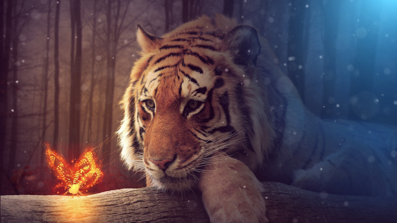 Большой тирг с волшебной огненной бабочкой, фэнтези