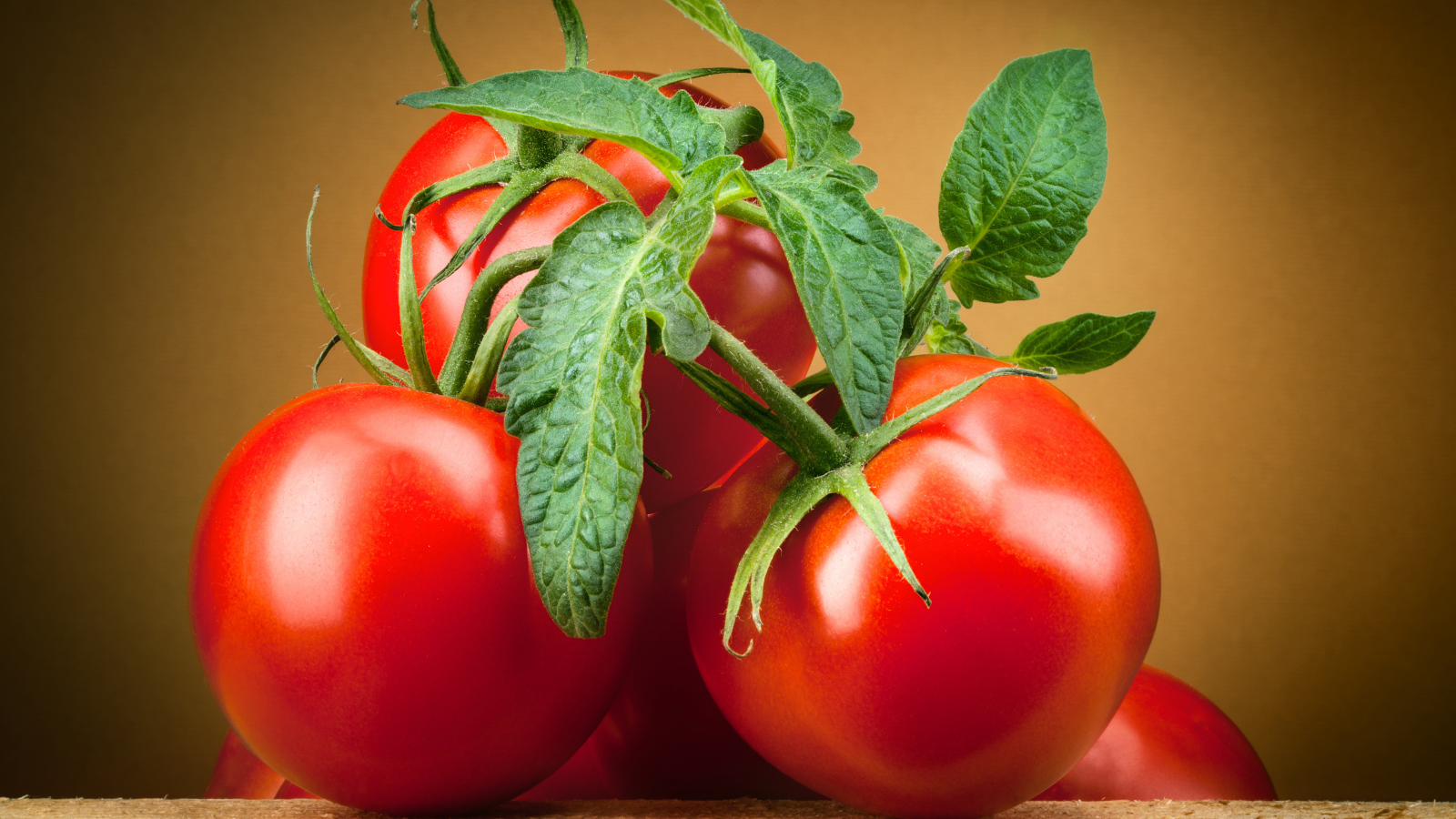 Крупные спелые красные томаты с зелеными листьями 