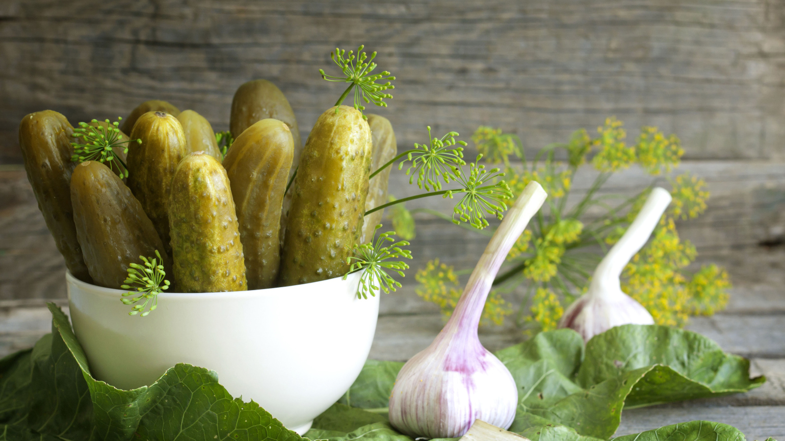 Соленые огурцы на столе с чесноком и укропом