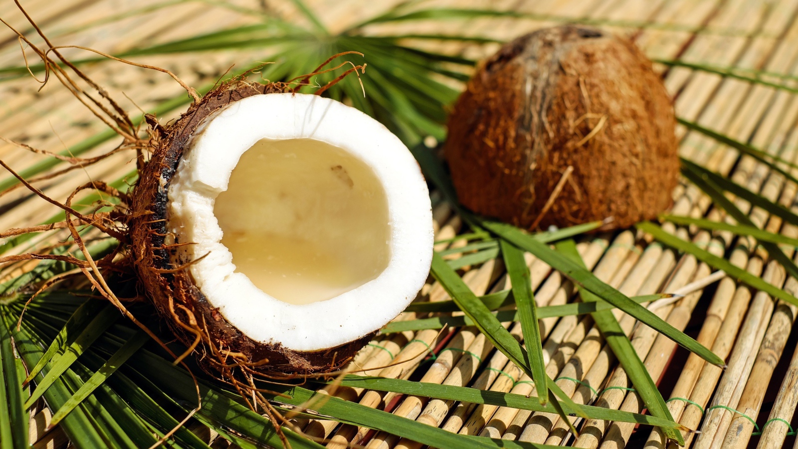 Разбитый кокос лежит на зеленых пальмовых листьях