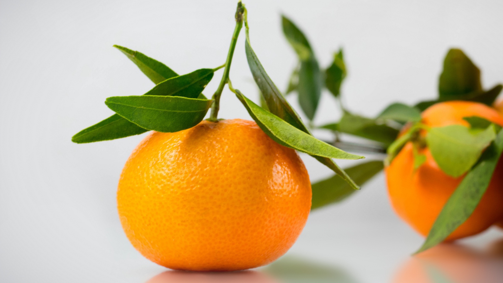 Оранжевый мандарин с зелеными листьями на сером фоне 