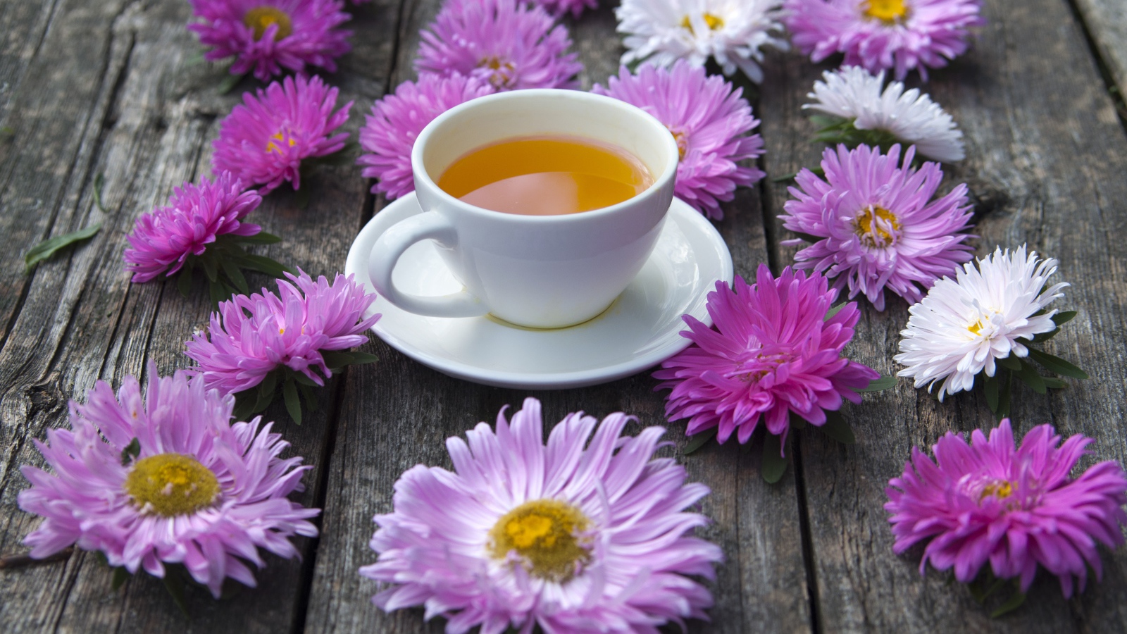 Белая чашка чая на столе с астрами