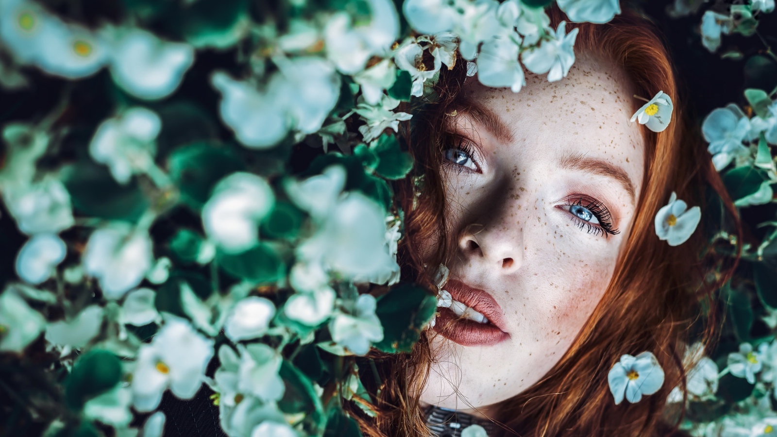 Рыжеволосая девушка с веснушками в белых цветах 