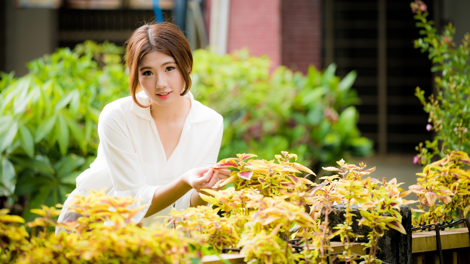 Молодая девушка азиатка с комнатными цветами