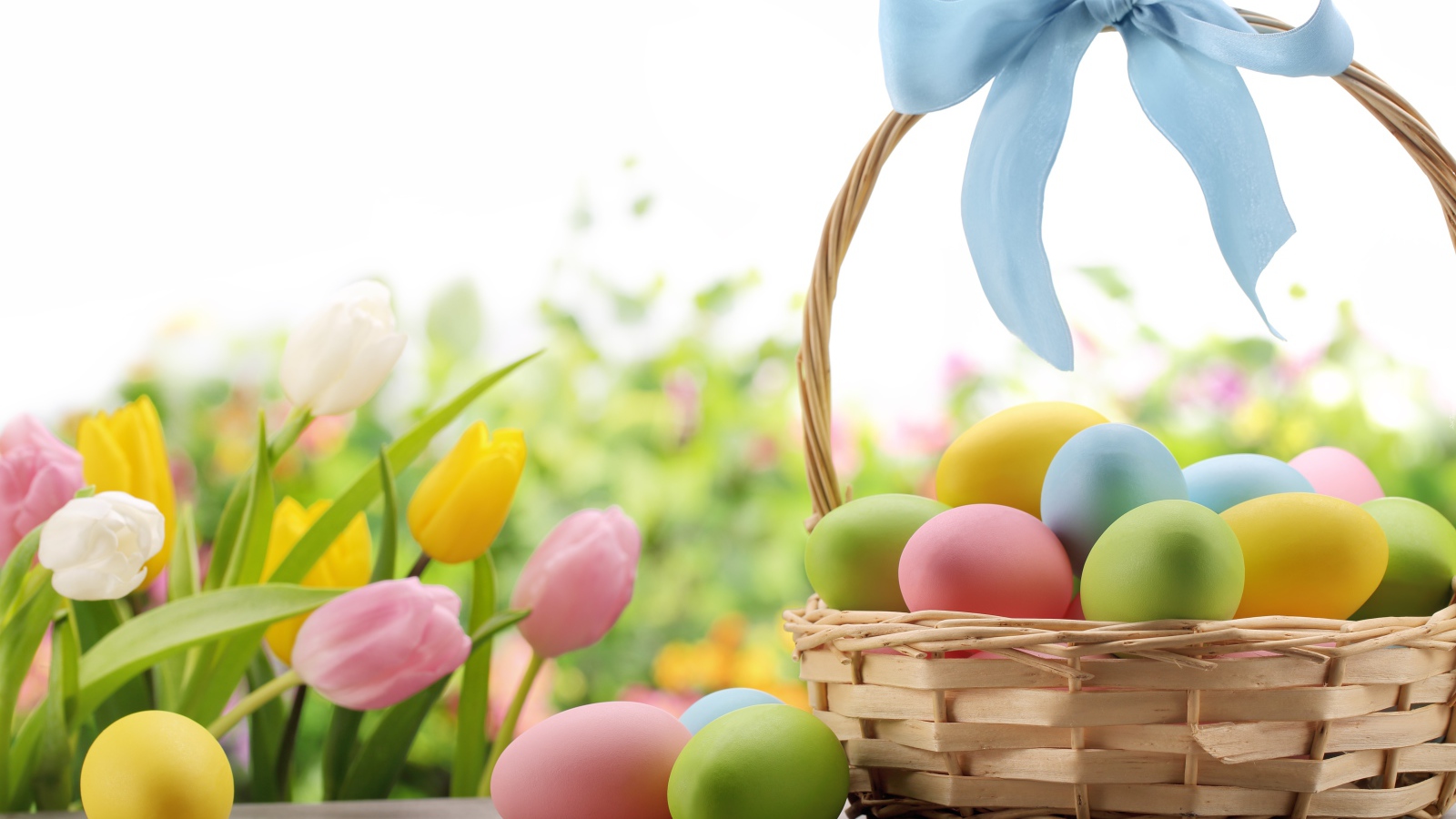 Корзина крашеных яиц с голубым бантом  на фоне тюльпанов на  Пасху