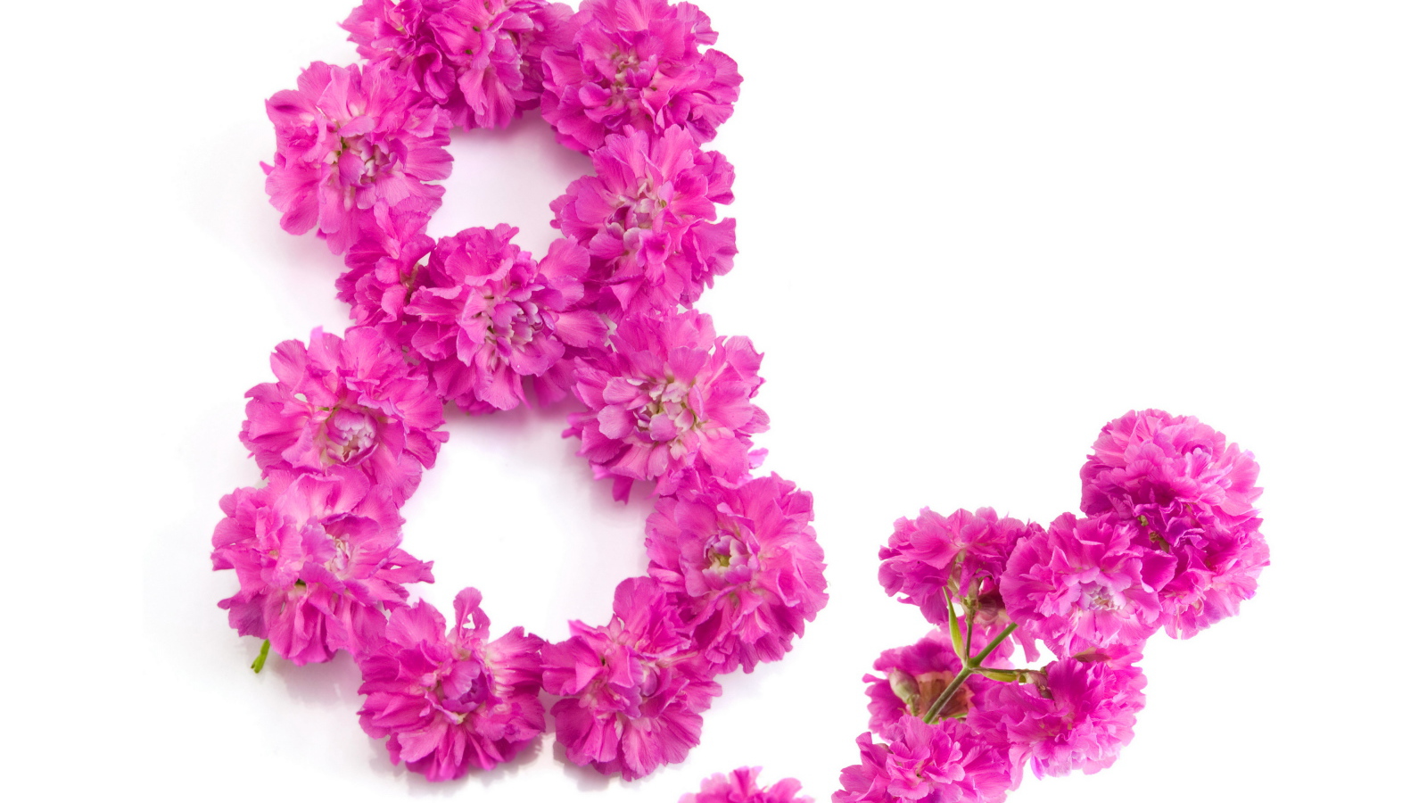 Восьмерка из розовых цветов гвоздики на Международный женский день 8 марта