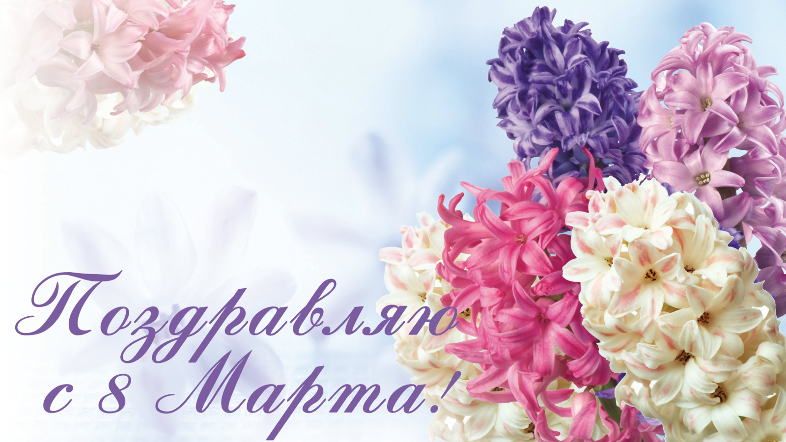 Открытка с весенними цветами гиацинтами на 8  марта
