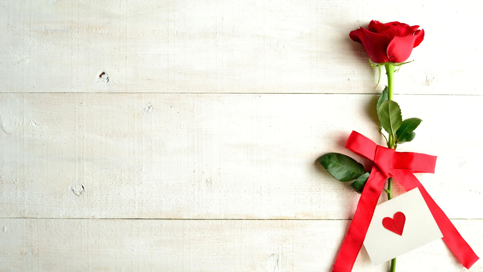 Red rose and Valentine on a white background, template for a Valentine's Day greeting card