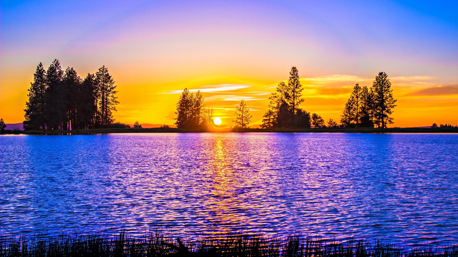 Рассвет яркого солнца над рекой