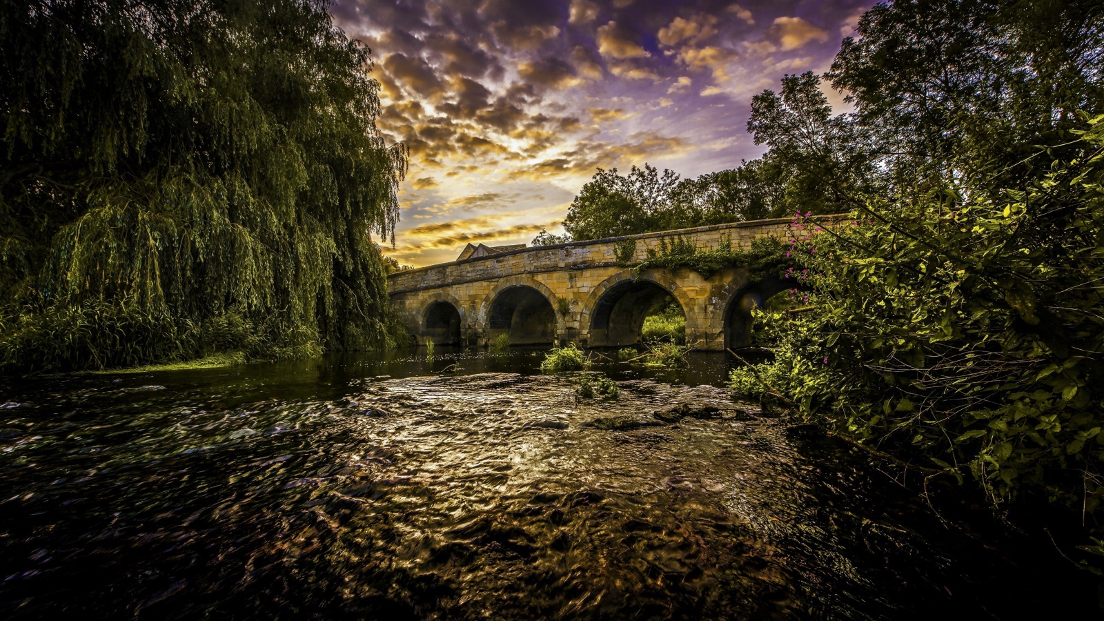 Зеленые ивы на берегу реки у старого моста под красивым небом