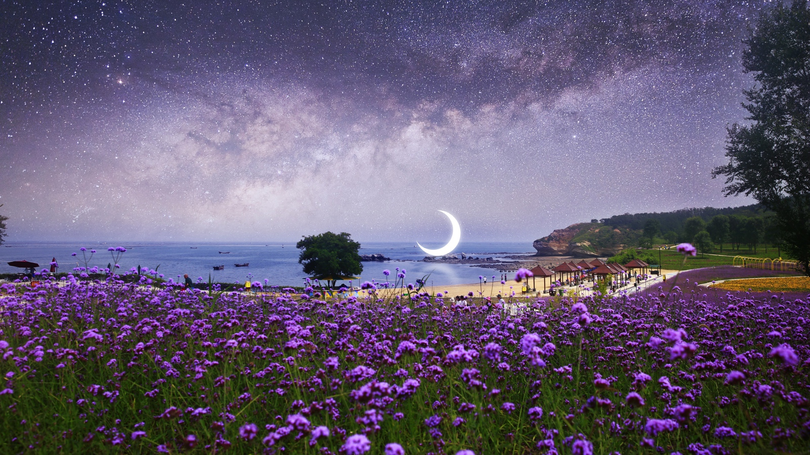 Фиолетовые полевые цветы на фоне ночного неба с большим месяцем 