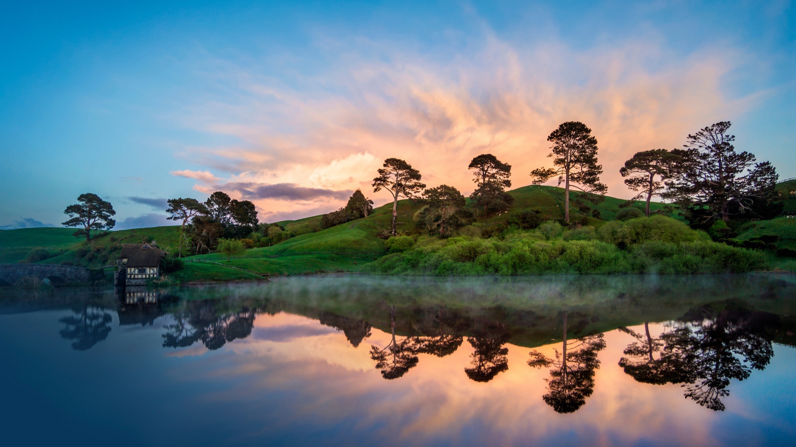 Деревья отражаются в воде на берегу озера на закате