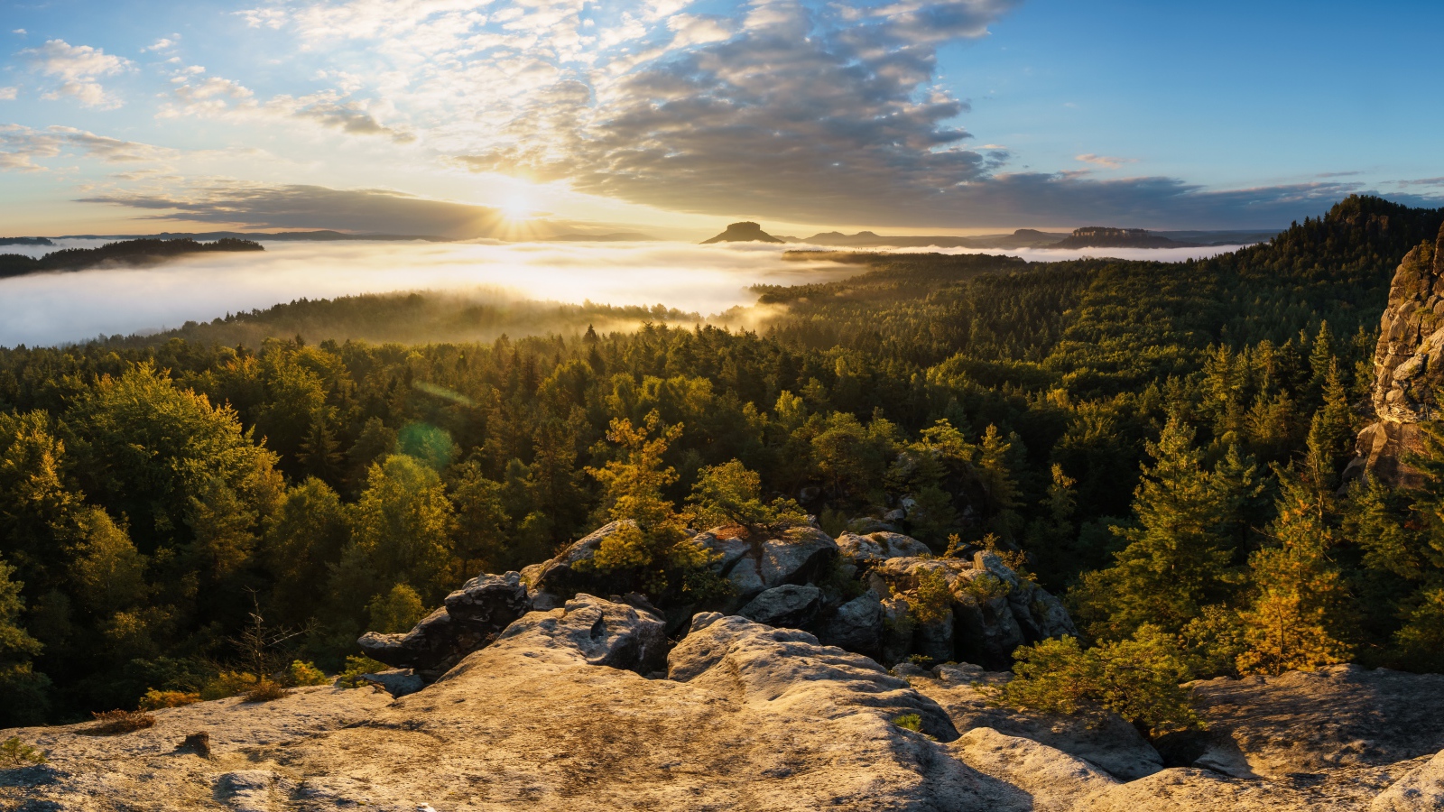 Вид со скалы на покрытый туманом лес и озеро на восходе солнца