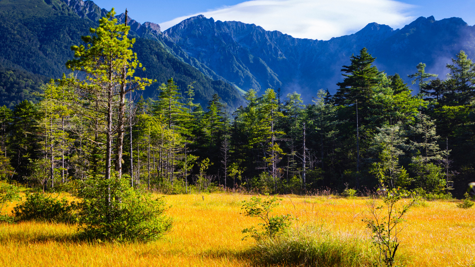 Вид на горы и лес под голубым небом, Япония