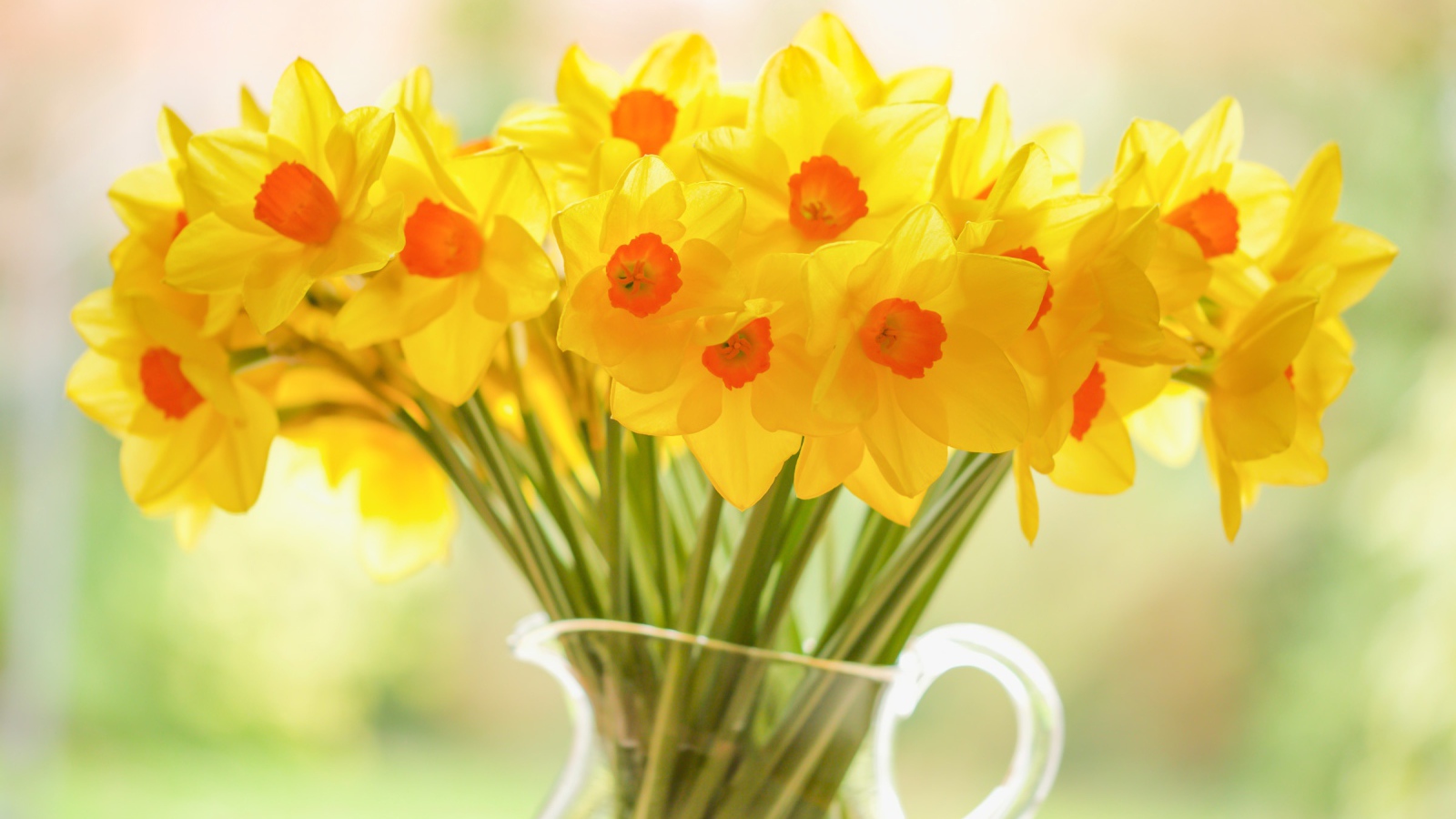 Букет желтых нарциссов в стеклянной вазе