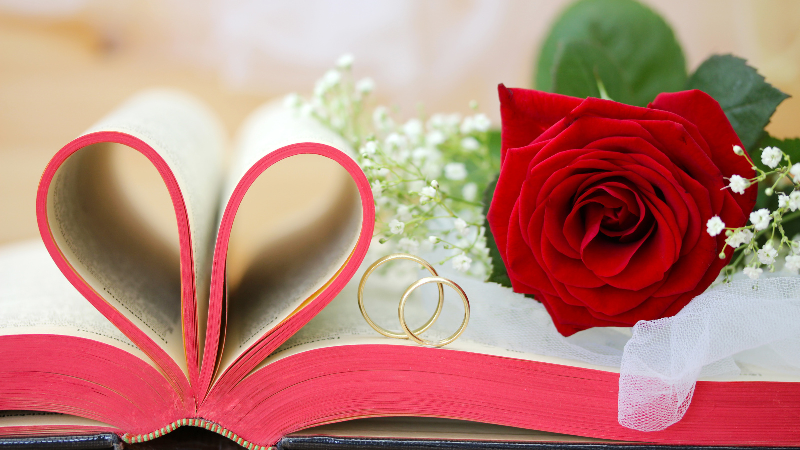 Красная роза на книге с сердцем из страниц и золотыми обручальными кольцами