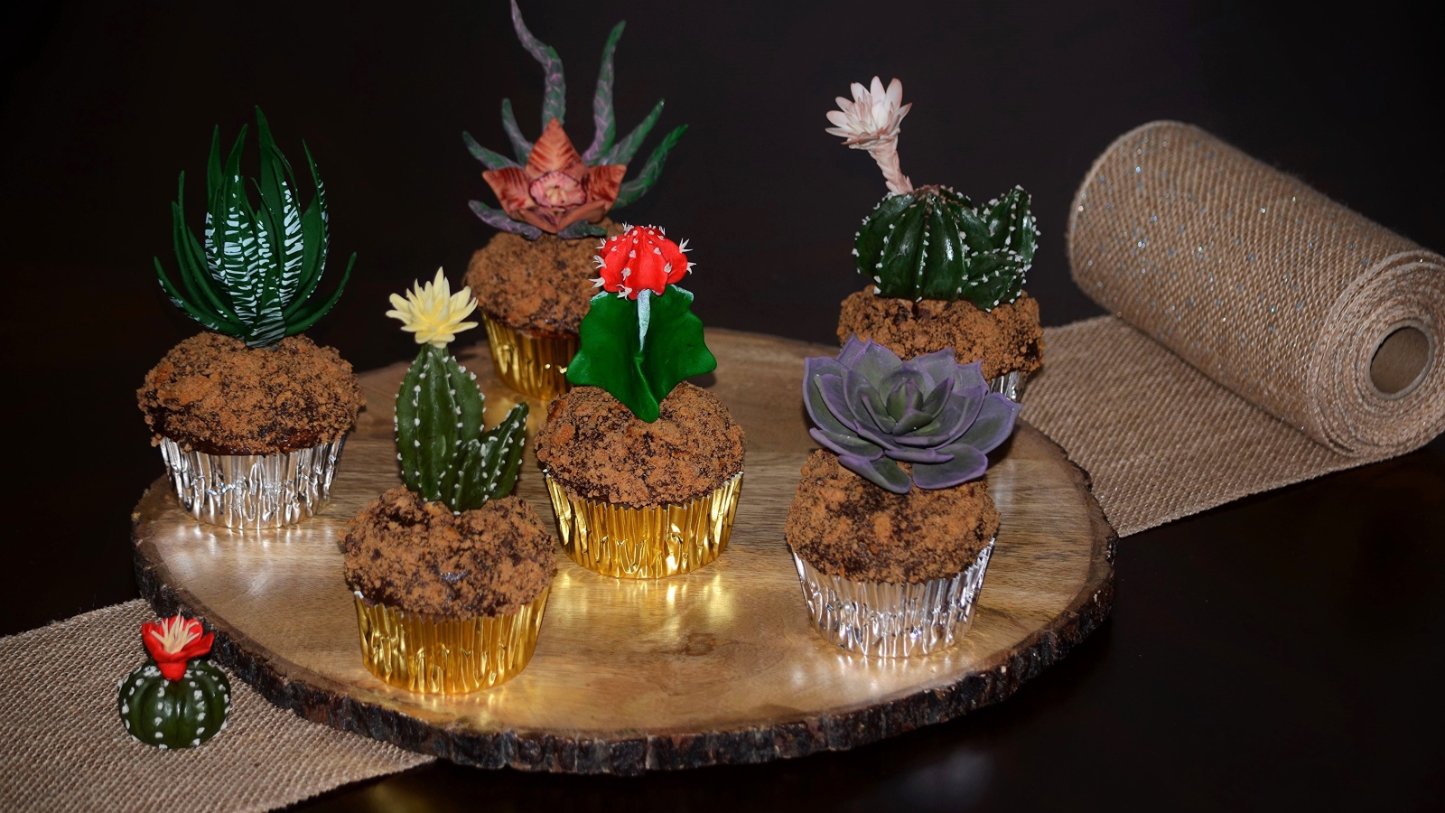 Красивые цветущие комнатные кактусы