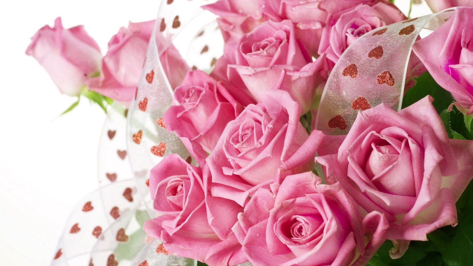 Big beautiful bouquet of pink roses with a satin ribbon on a white background