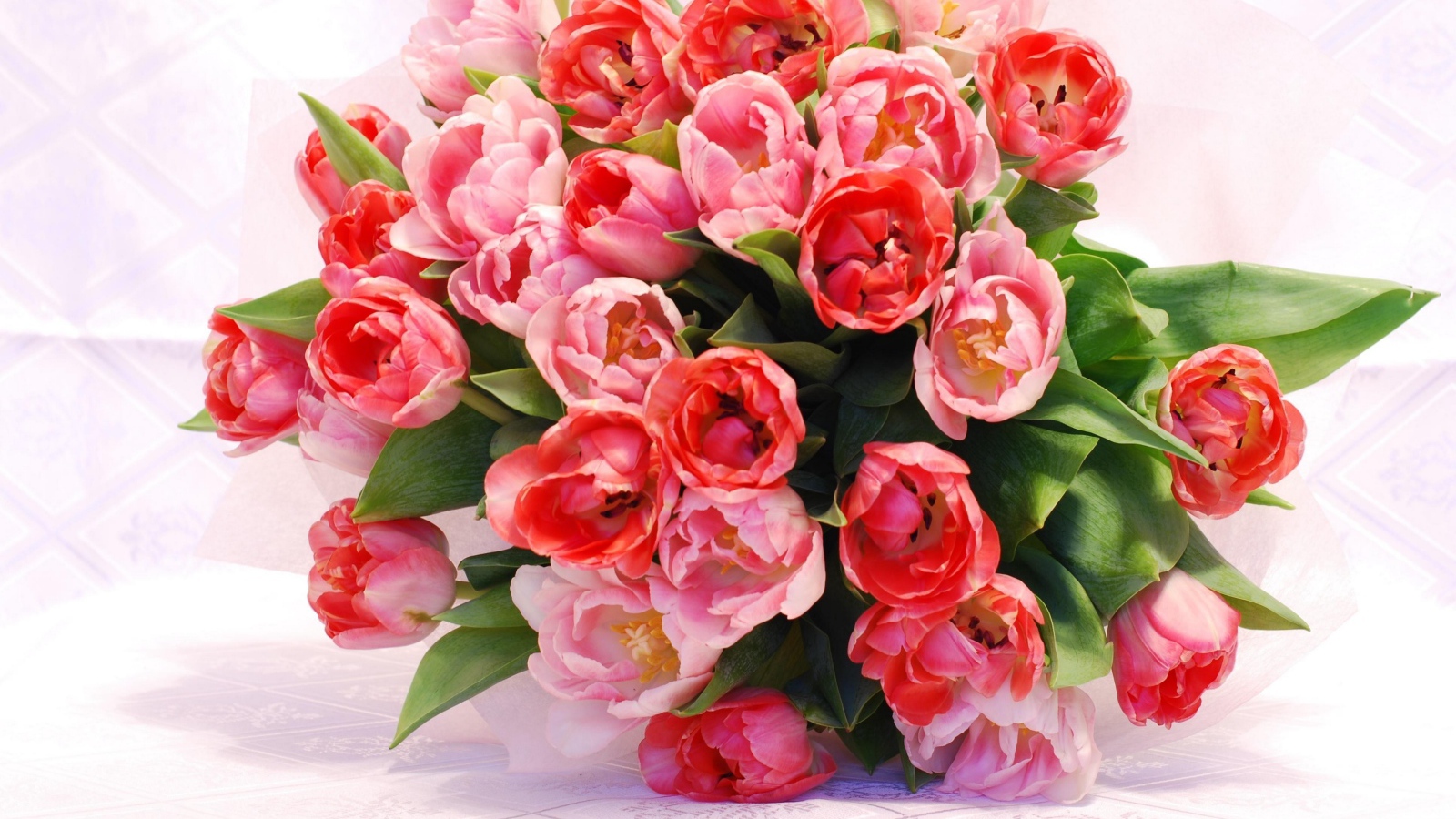 Большой красивый букет розовых тюльпанов крупным планом