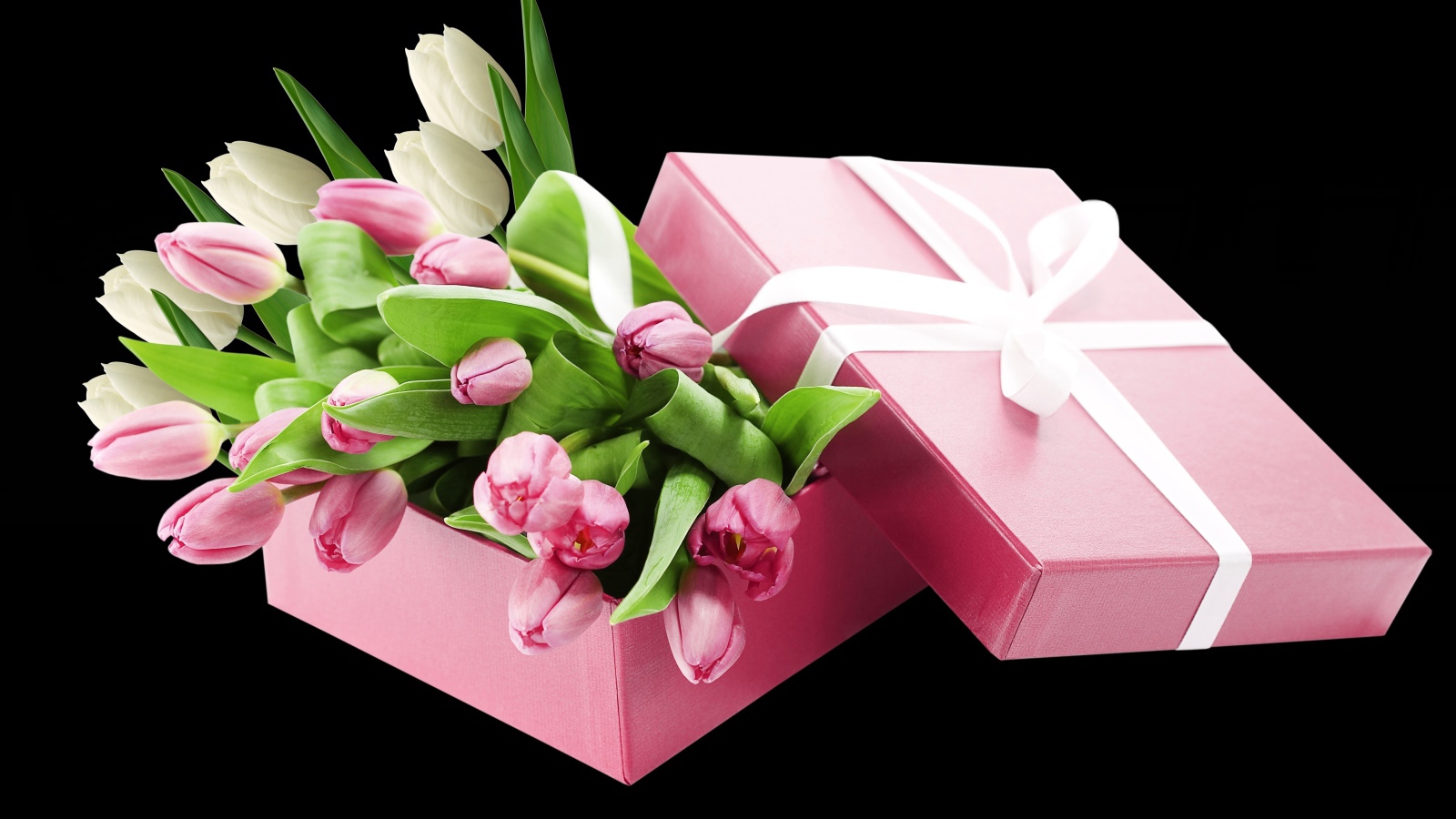 Букет розовых тюльпанов в розовой коробке на черном фоне