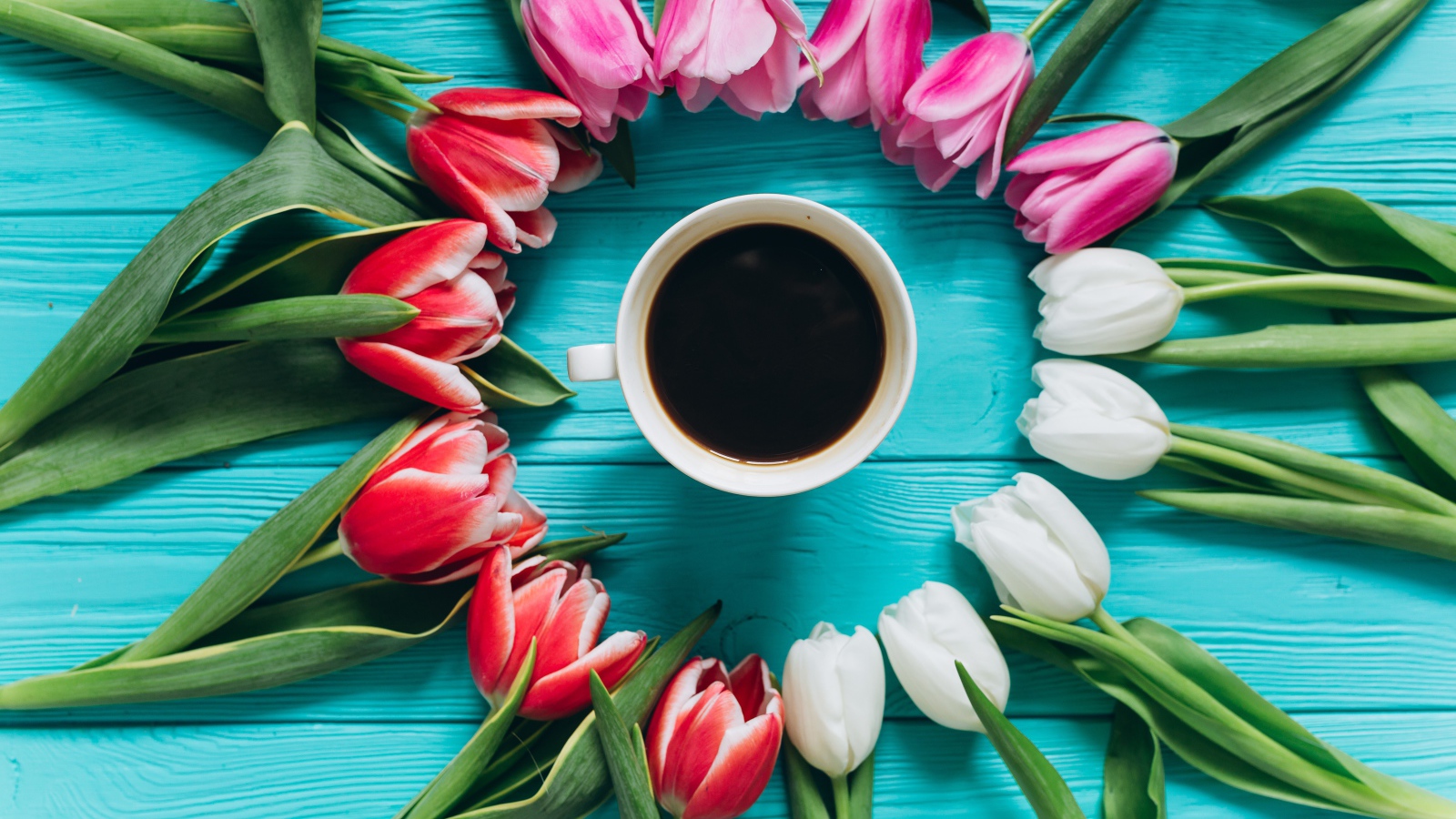 Букет тюльпанов с чашкой кофе на голубом фоне