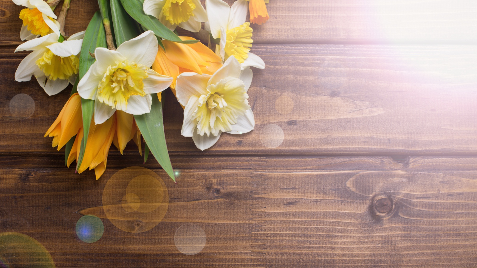 Нарциссы и желтые тюльпаны на деревянном фоне