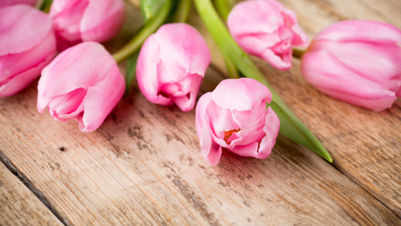 Нежные розовые тюльпаны на деревянном столе