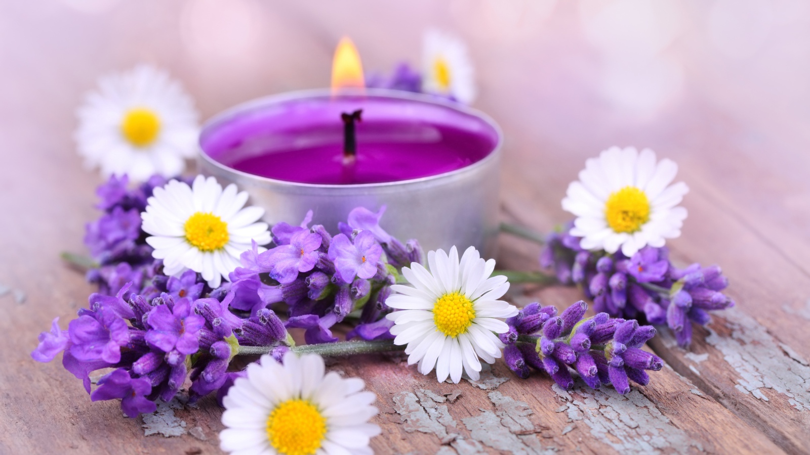 Зажженная свеча с цветами ромашки и лаванды