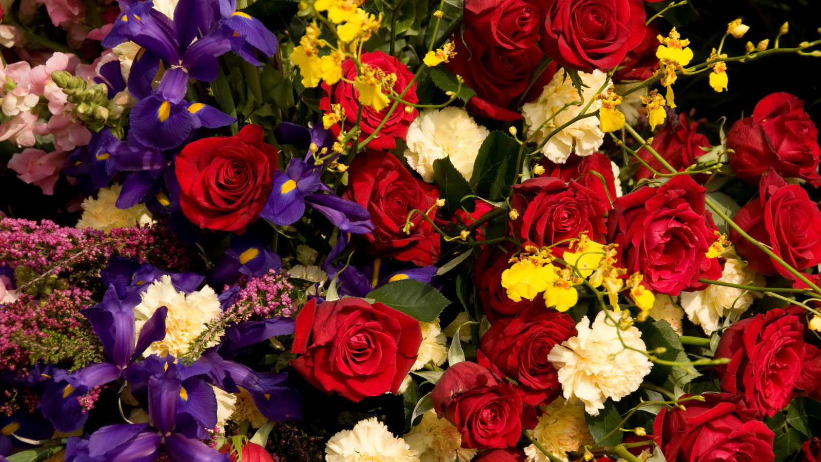 Розы, ирисы, гвоздики, орхидеи крупным планом