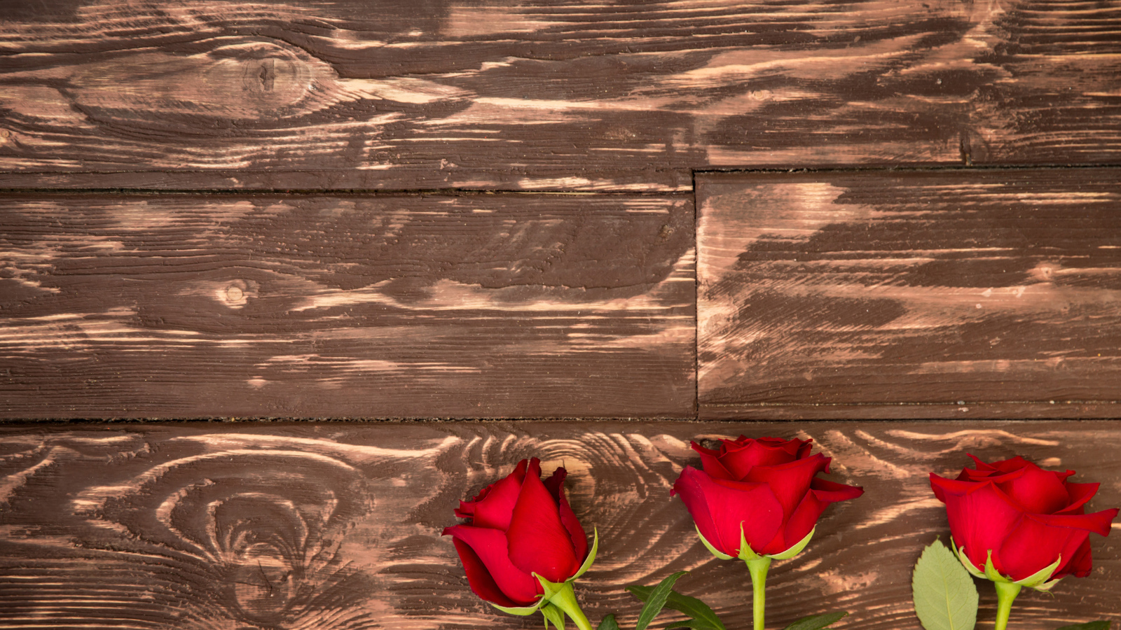 Три красные розы на деревянном фоне