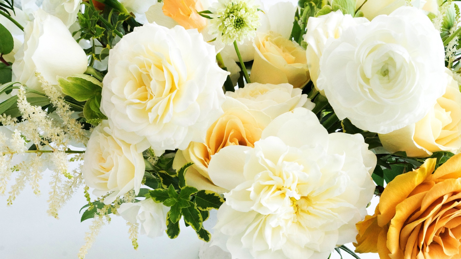 Белые и оранжевые розы крупным планом в букете