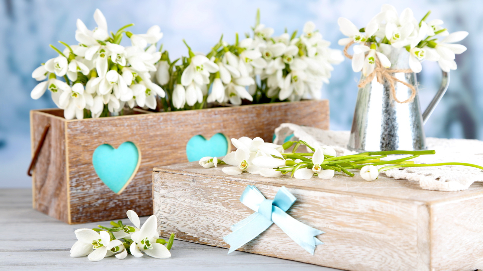 Красивые нежные белые подснежники в деревянном ящике
