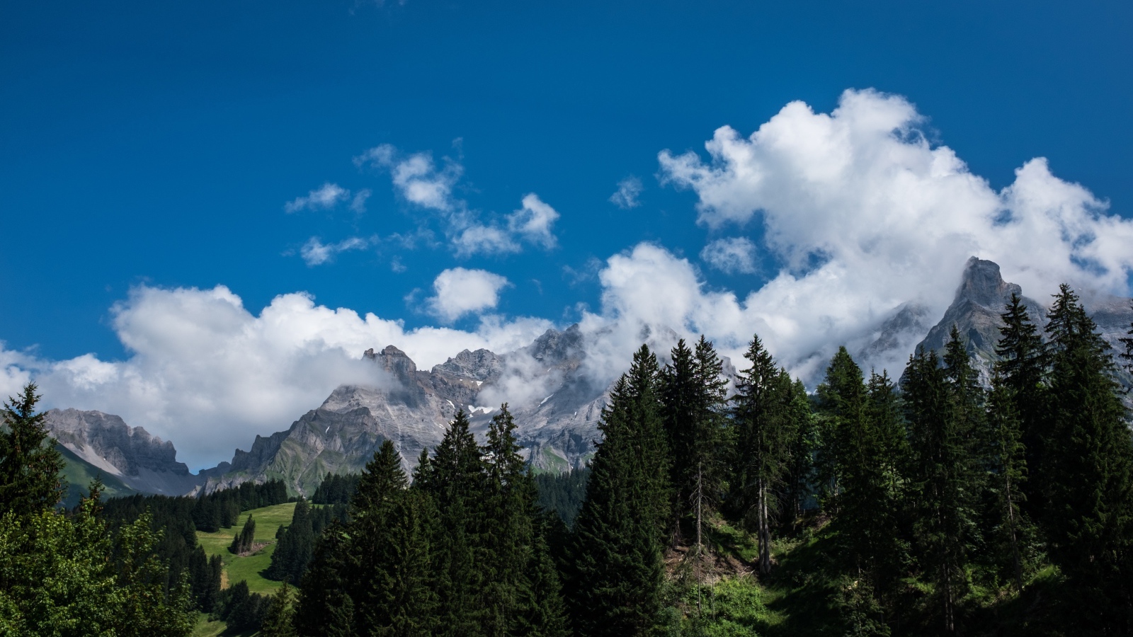 Горы у зеленого леса под белыми облаками в голубом небе