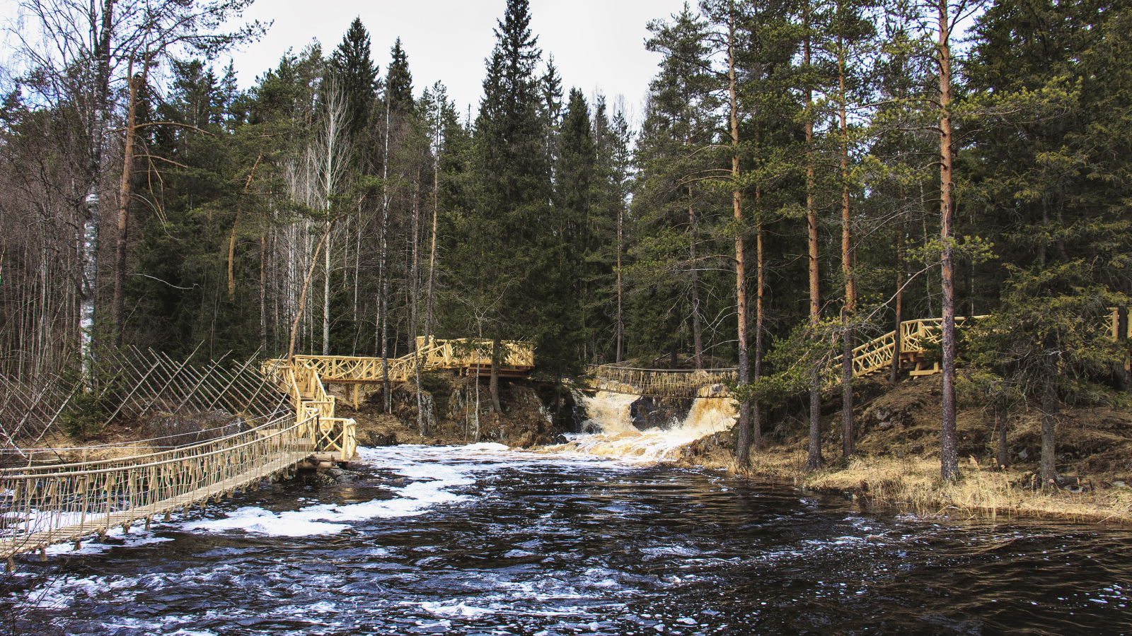 Быстрая река в хвойном лесу, Россия