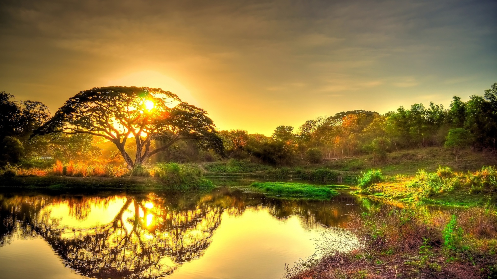 wallpapers 1600x900 nature