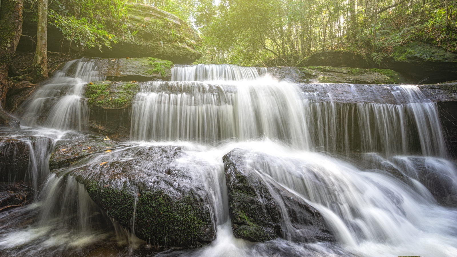Лесной водопад стекает по камням