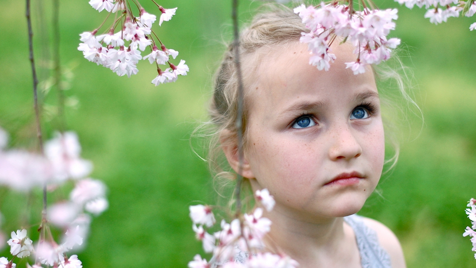 A little blue-eyed girl with branches of spring flowers
