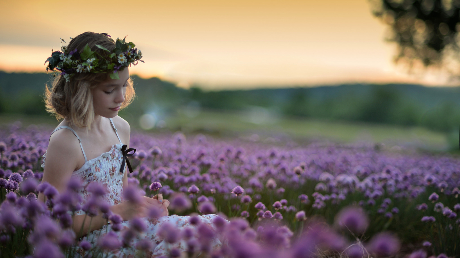 Нежная маленькая девочка сидит на поле с сиреневыми цветами