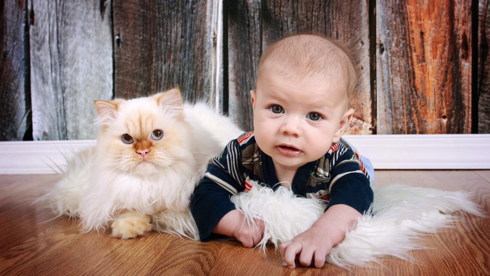 Маленький мальчик лежит на полу с котом 