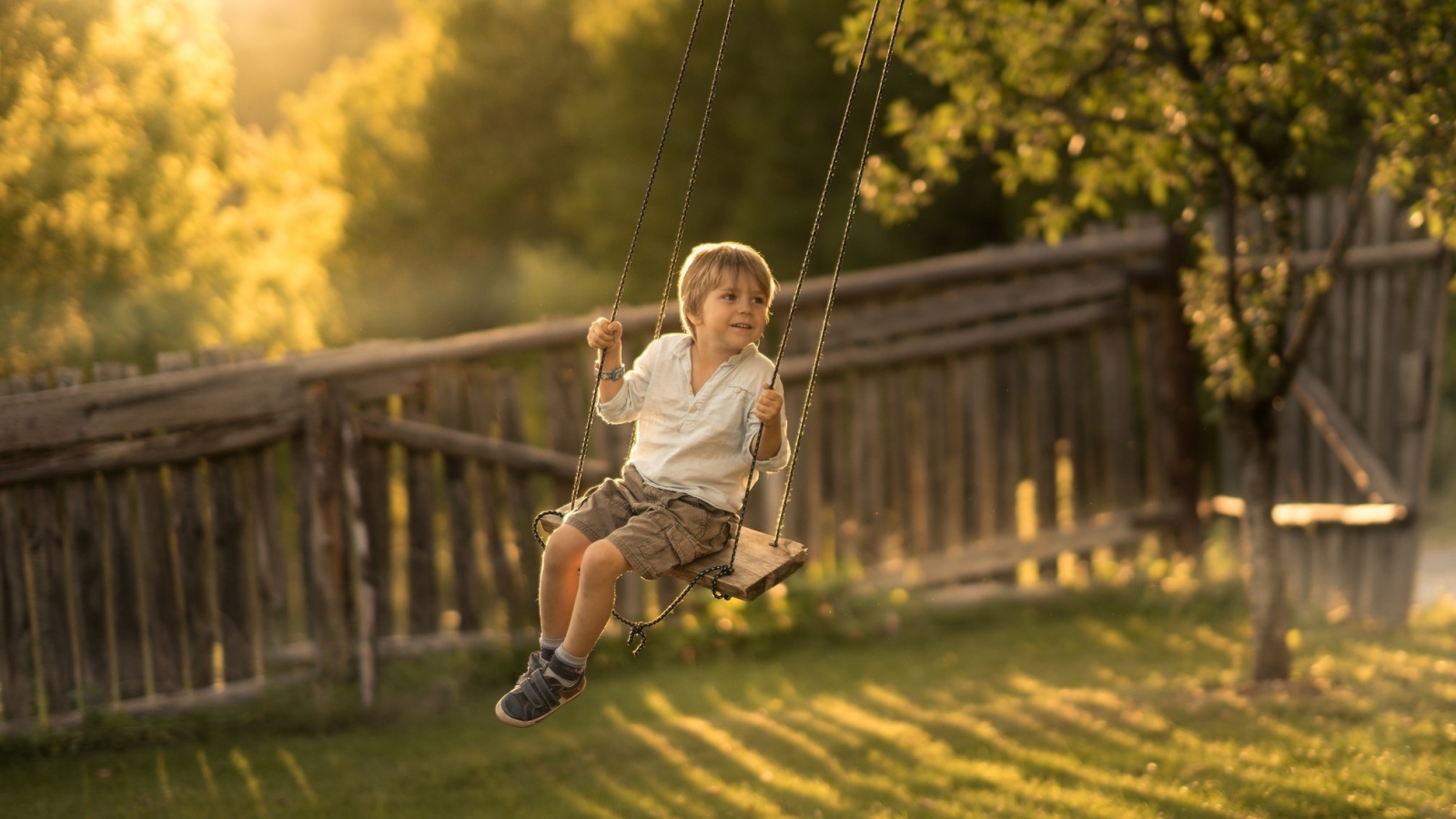 Маленький мальчик катается на качели летом