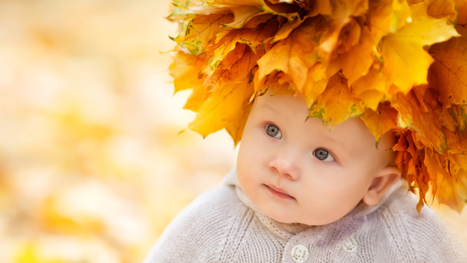 Маленький милый ребенок с венком из желтых листьев на голове 