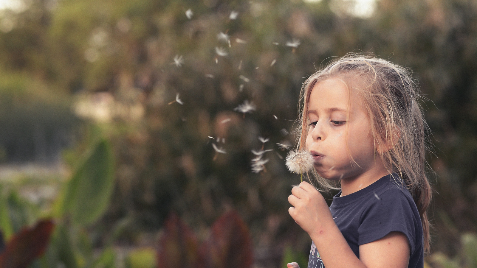 Маленькая девочка с одуванчиком в руках 