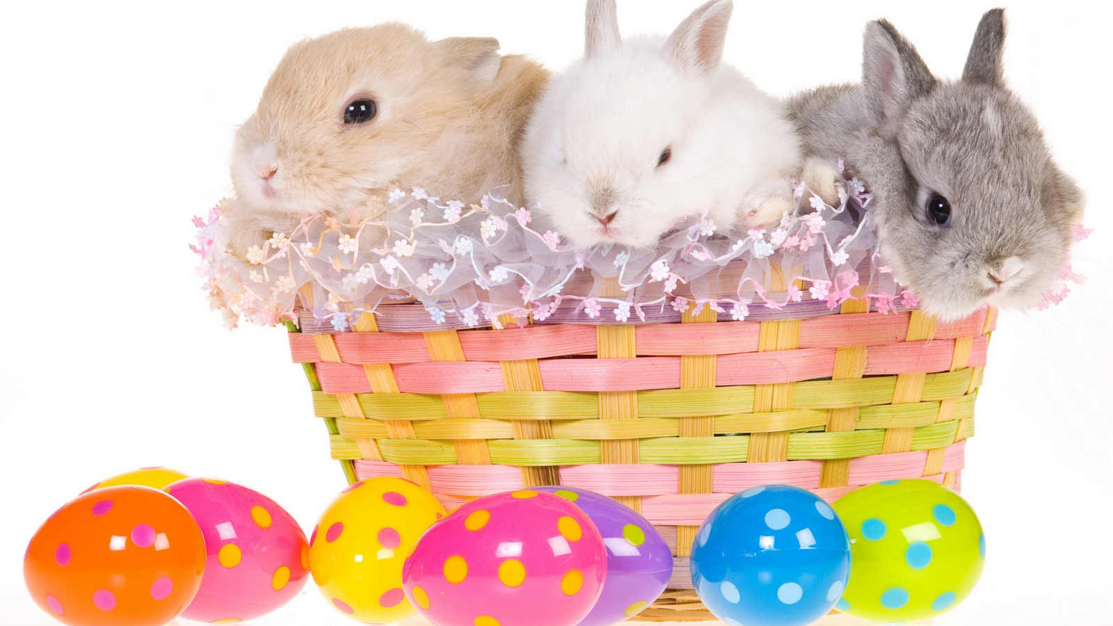 Три маленьких декоративных кролика в корзине на белом фоне с пасхальными яйцами