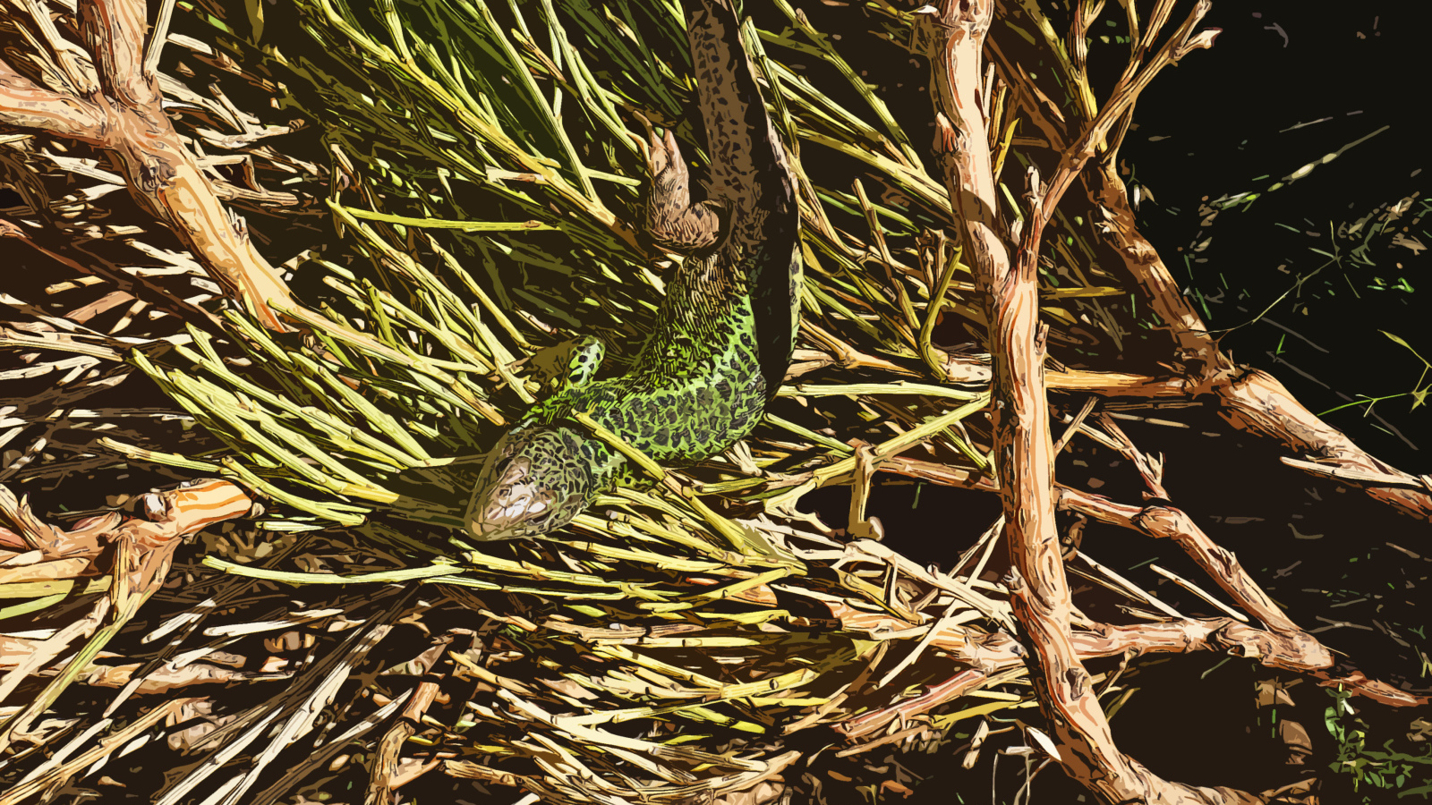 Зеленая ящерица в ветках 