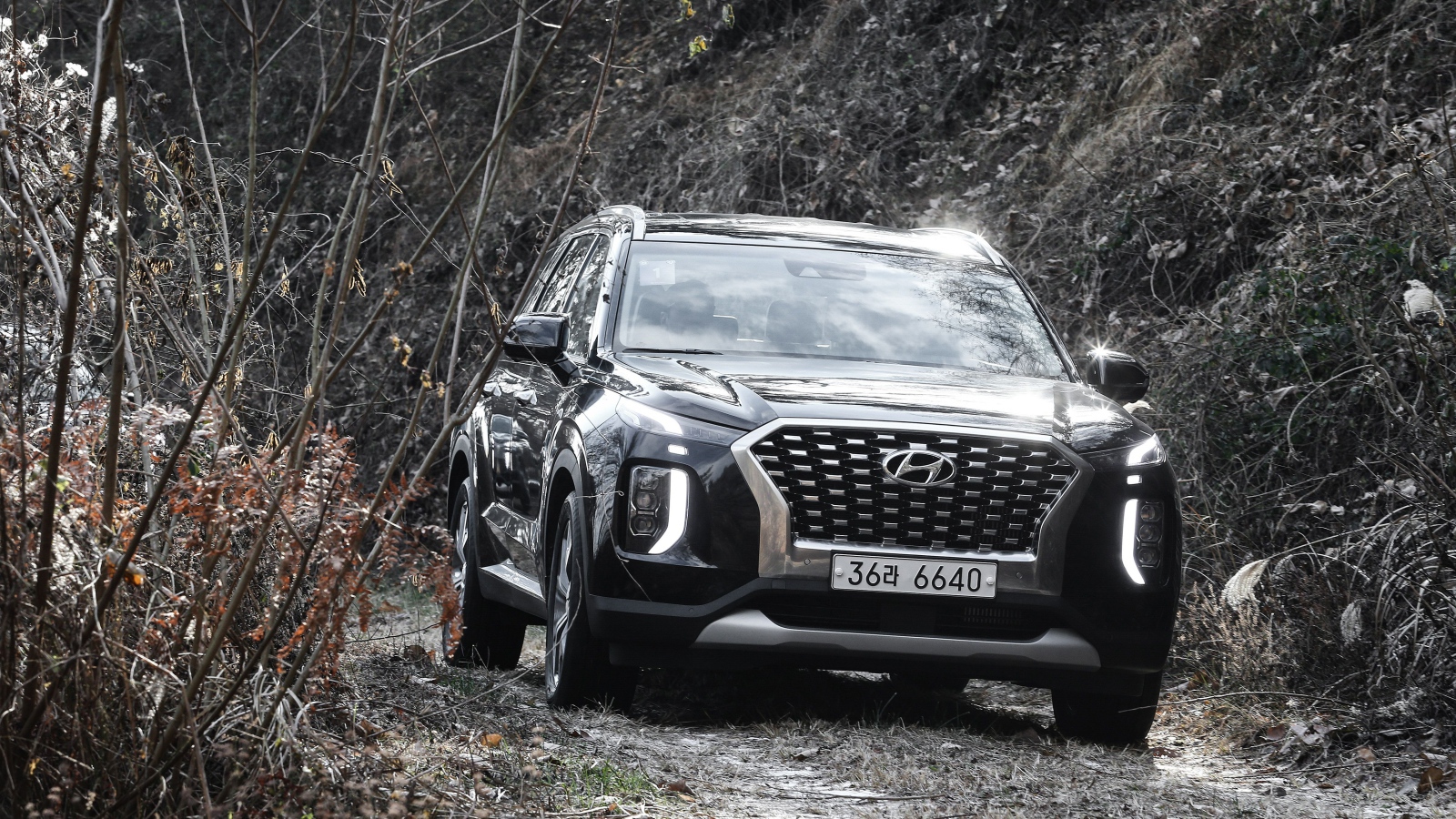 Черный внедорожник Hyundai Palisade 2019 года в зарослях 